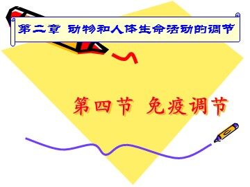 生物高中必修3第二章第四节课件7