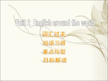 English around the world_课件48