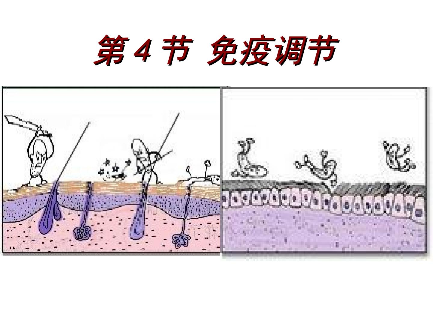 免疫调节