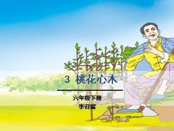 3 桃花心木 