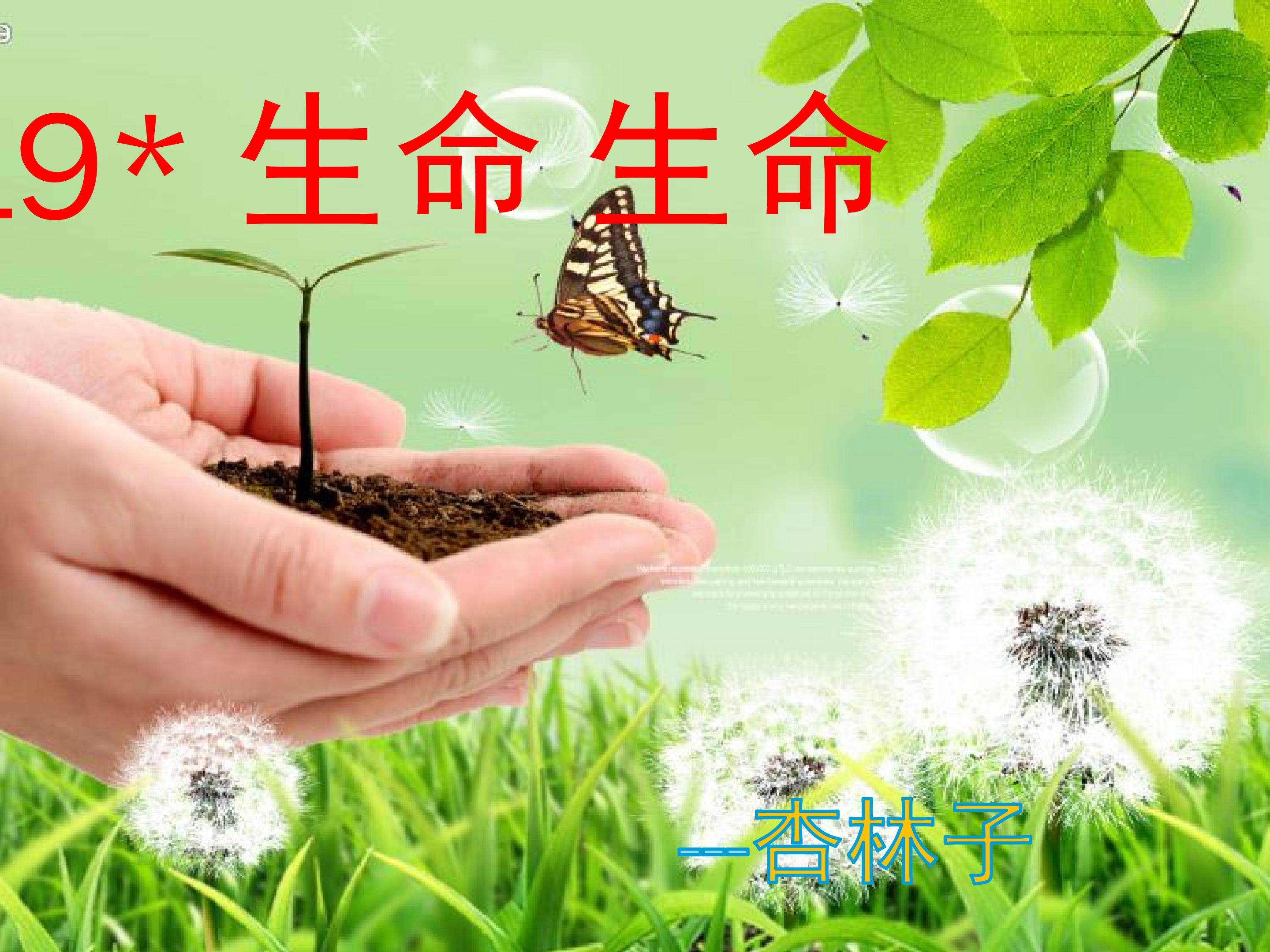 19.生命 生命