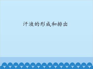 汗液的形成和排出_课件1