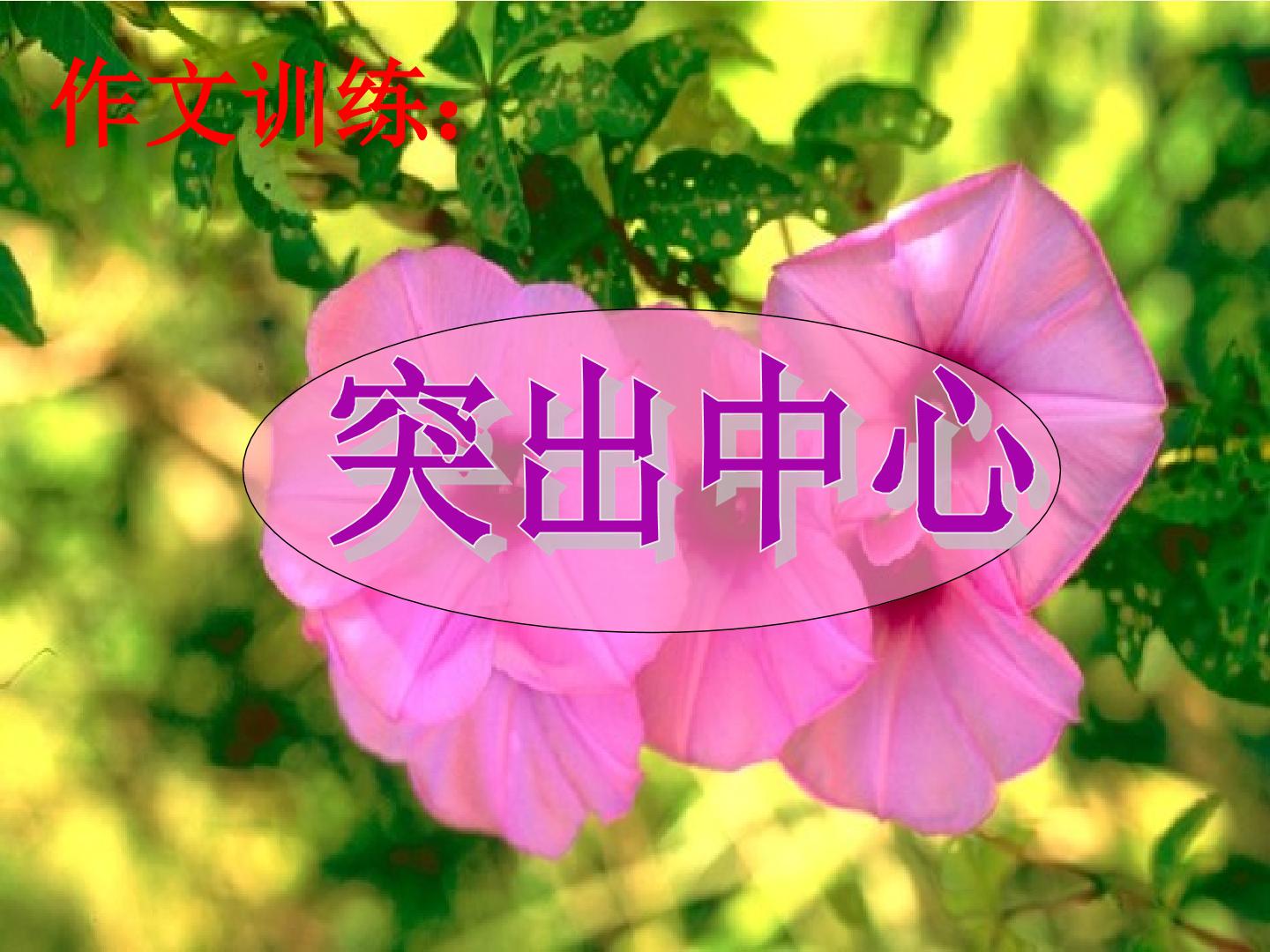 突出中心_课件1