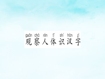 观察人体识汉字_课件1