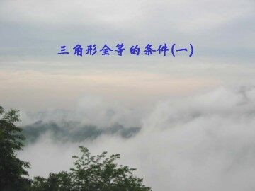 信息技术应用   探究三角形全等的条件_课件14