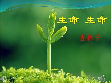 19 生命 生命