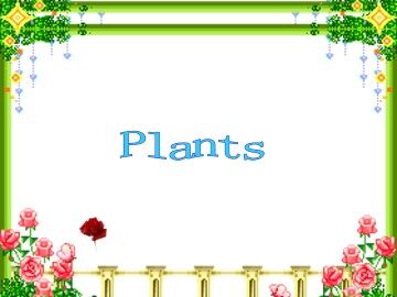 Plants_课件1