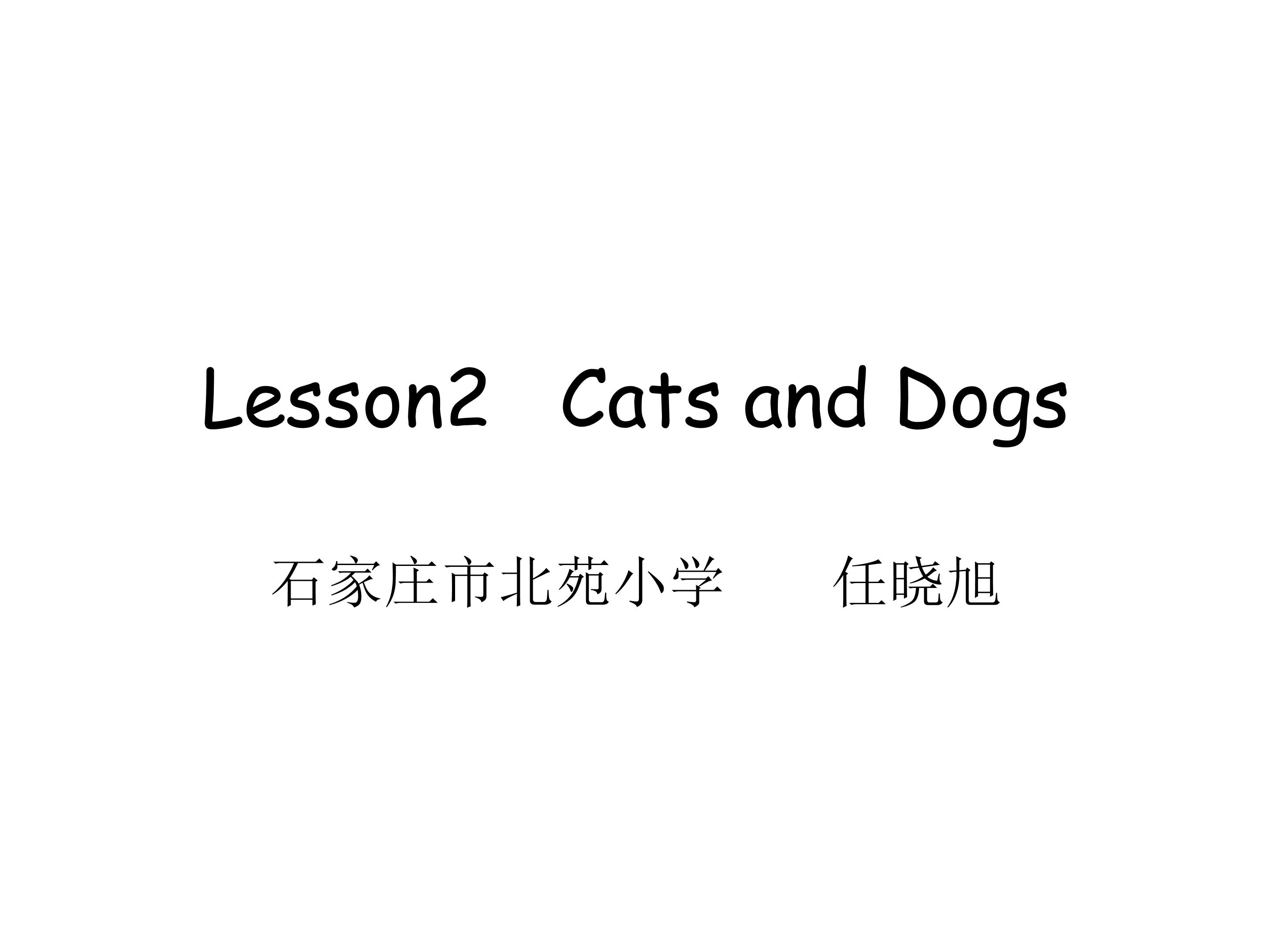 Lesson2 Cats and Dogs