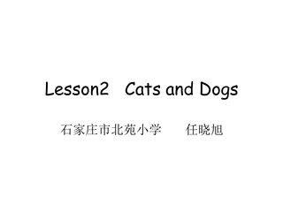 Lesson2 Cats and Dogs