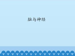 脑与神经_课件1