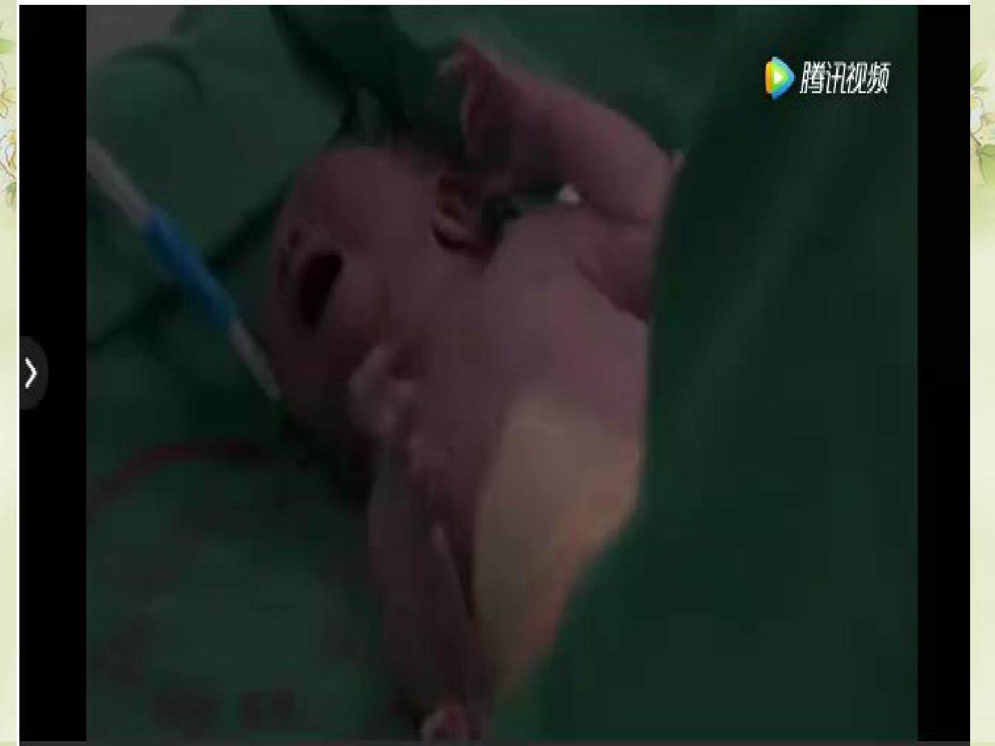 第五单元第2节《化学元素与人体健康》