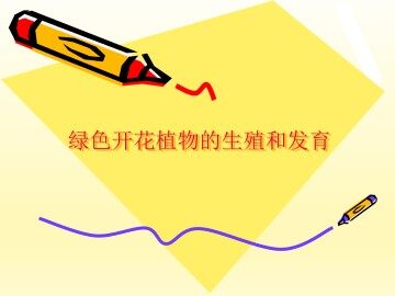 绿色开花植物的生殖和发育_课件3