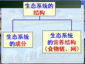 生物高中必修3第五章第五节课件19