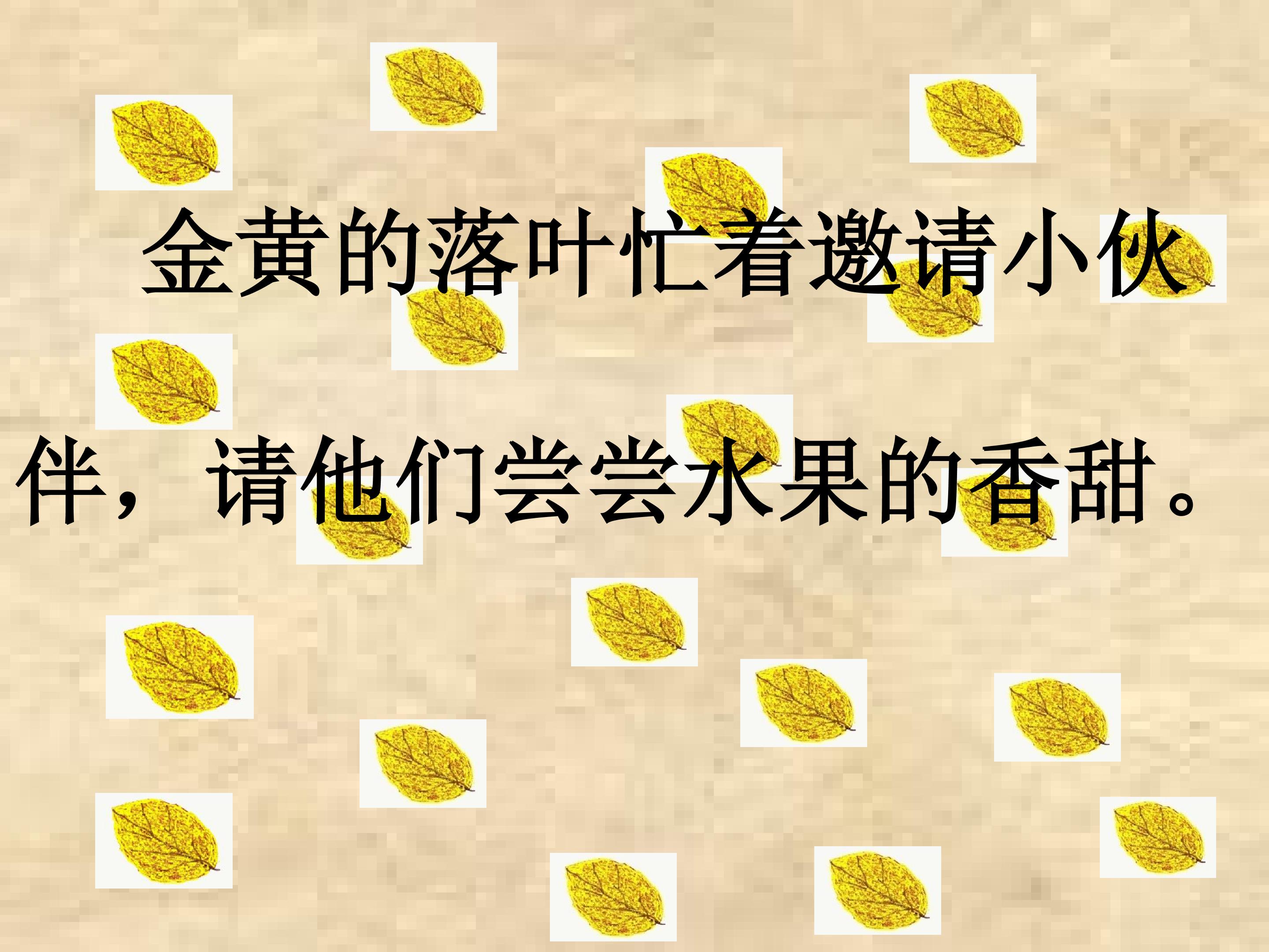 44.jpg