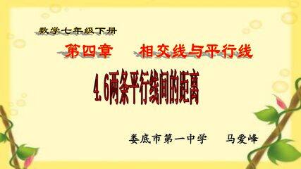 4.6两平行线间的距离