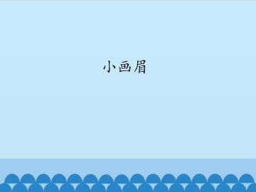 小画眉_课件1