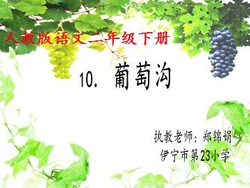 10 葡萄沟 