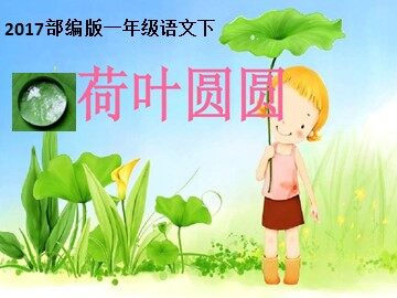 13 荷叶圆圆