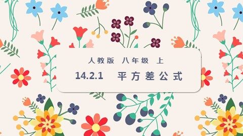 14.2.1 平方差公式