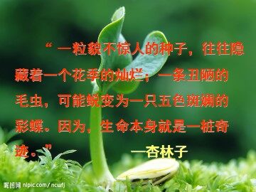 19 生命 生命