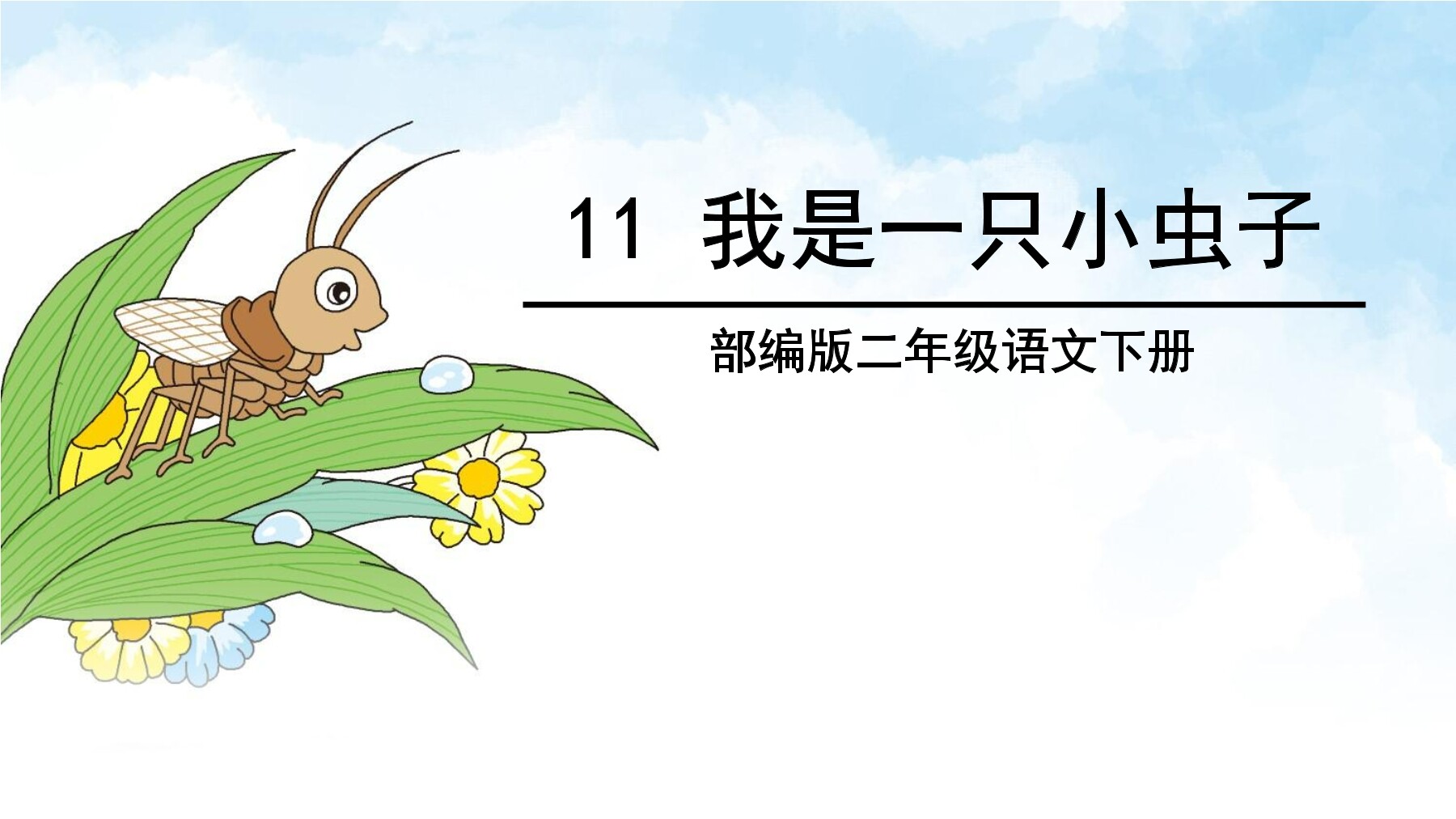 我是一只小虫子
