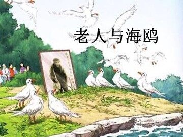 21 老人与海鸥 