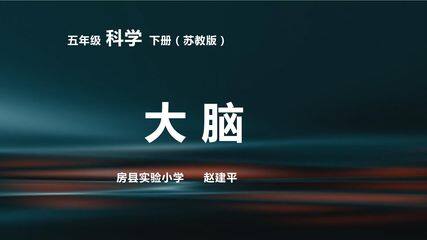第五单元 大脑