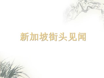 新加坡街头见闻_课件1