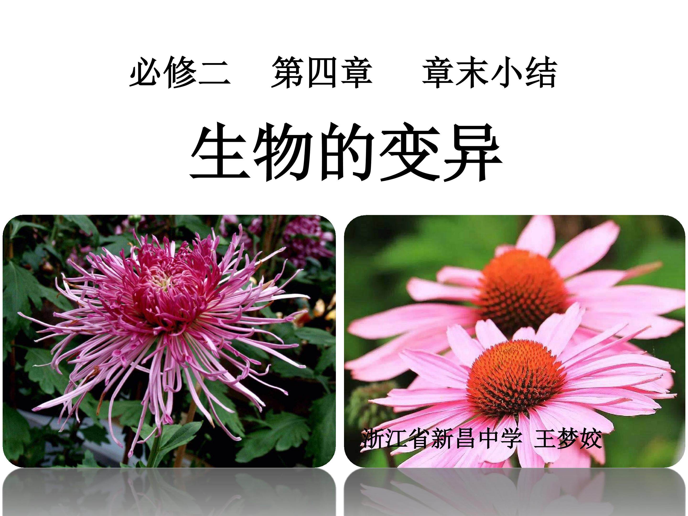 生物的变异--章末小结