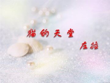 猫的天堂_课件1