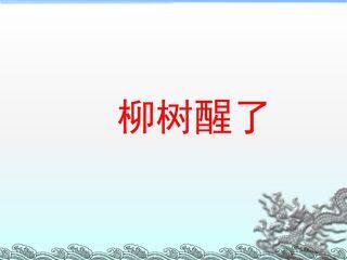 柳树醒了_课件9