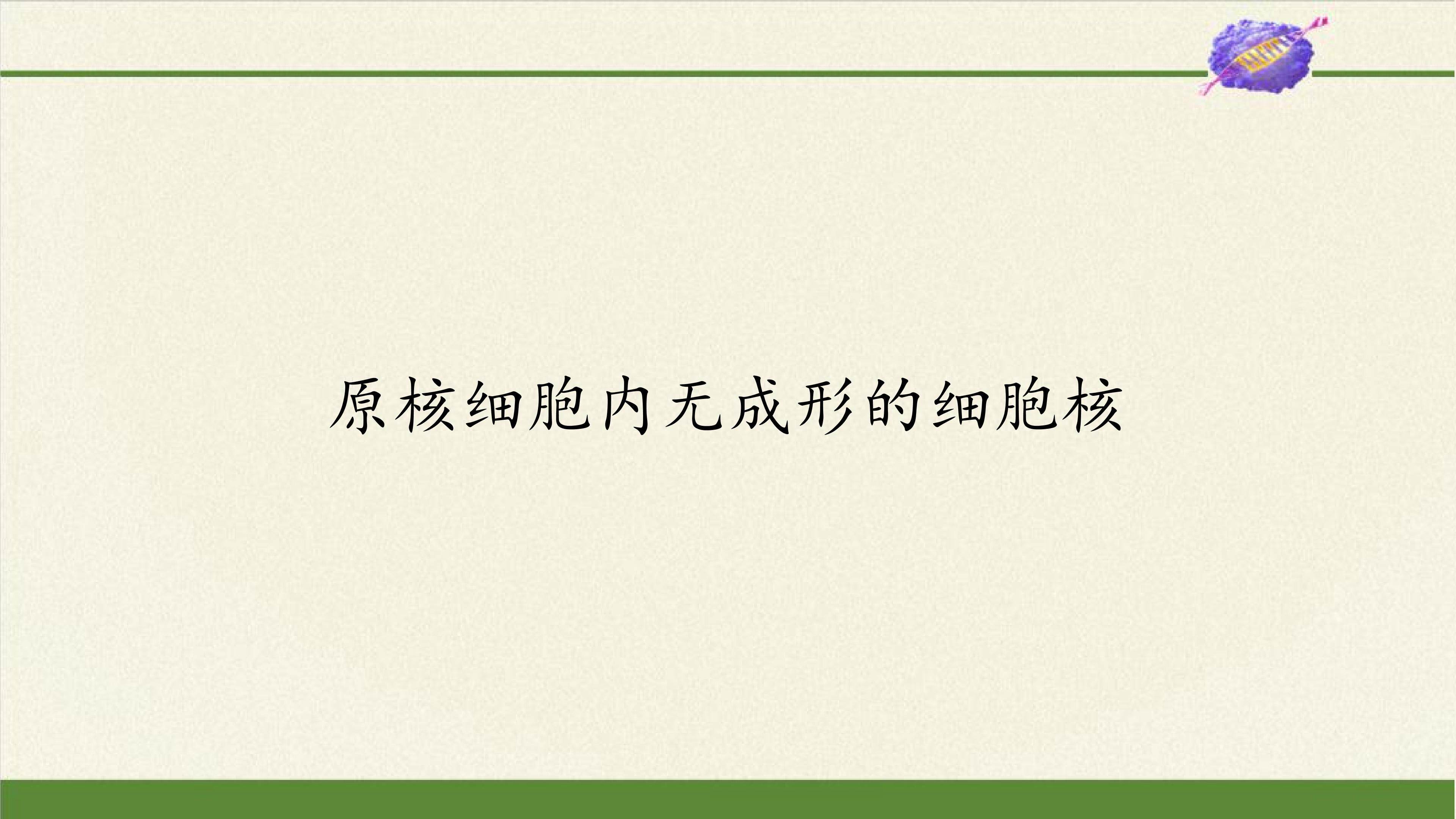 原核细胞内无成形的细胞核