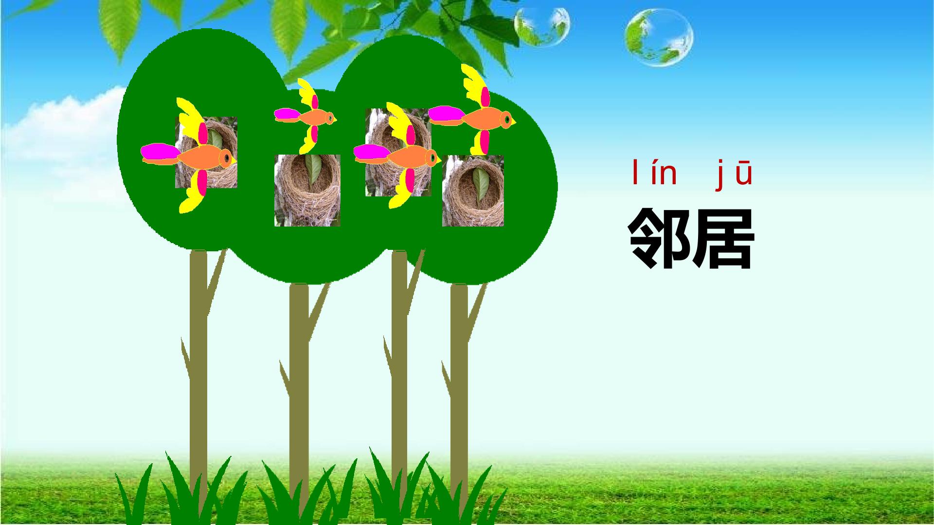 35.jpg