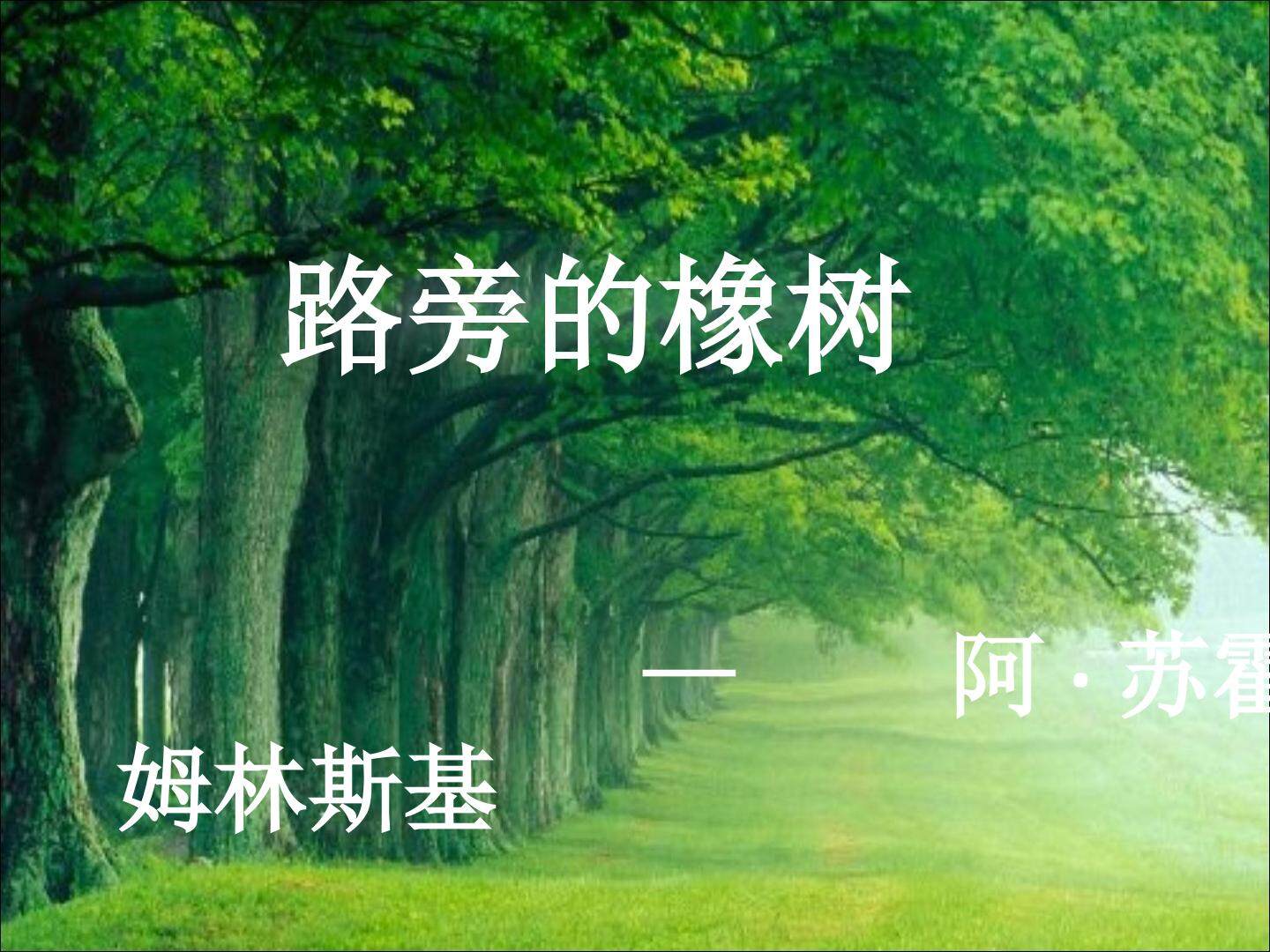 路旁的橡树