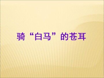骑“白马”的苍耳_课件1
