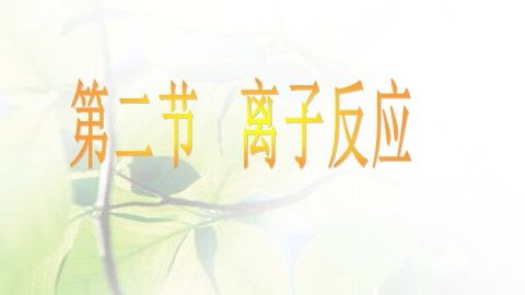 第二节 离子反应