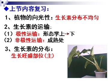 生物高中必修3第三章第二节课件3