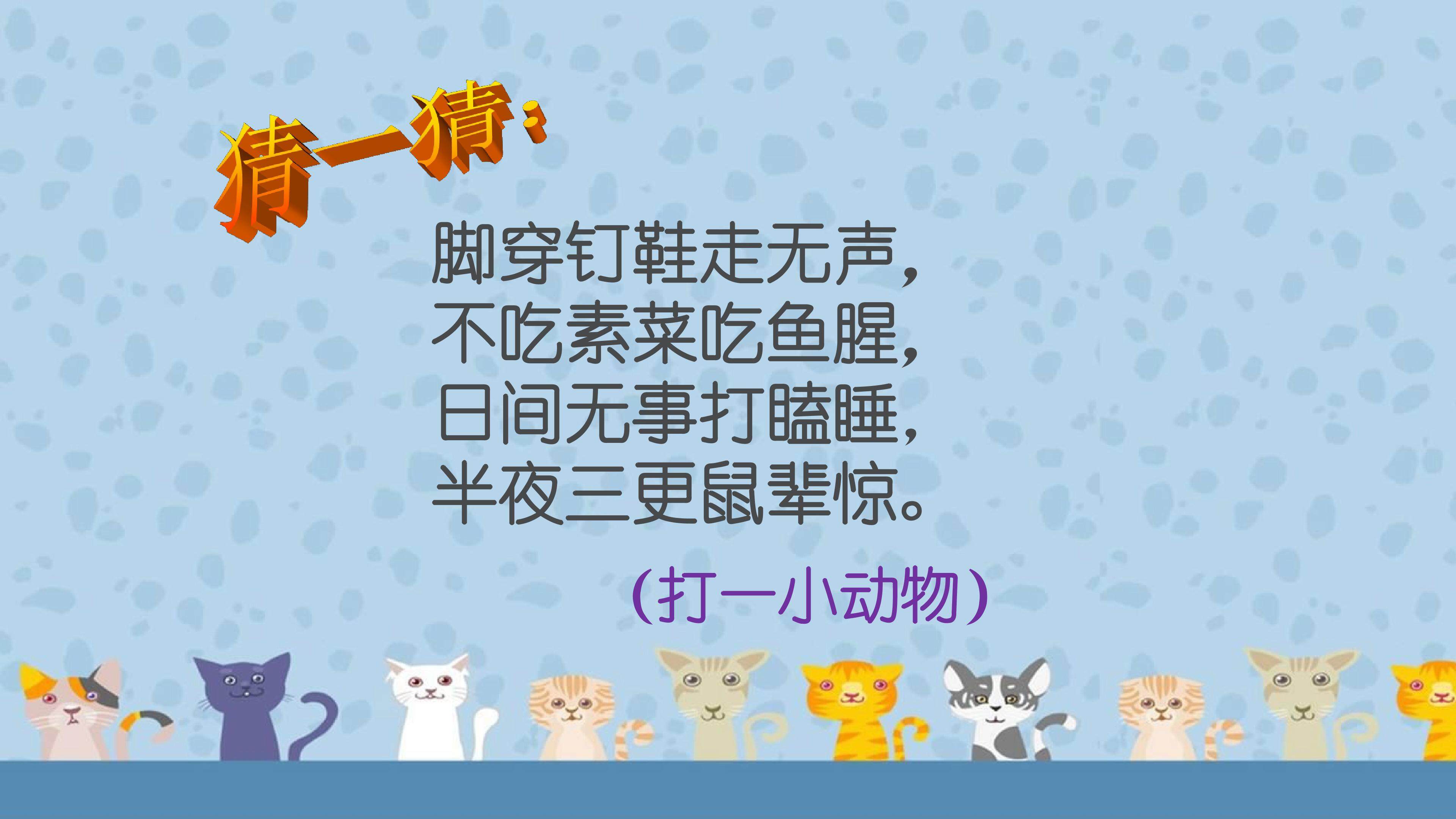 《猫》