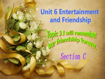 Topic 3. I will remember our friendship forever._课件1