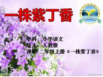 5 一株紫丁香 