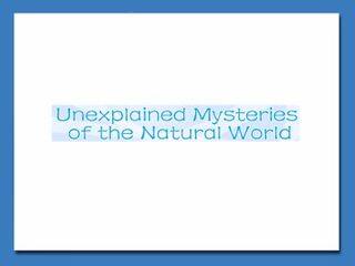 Unexplained Mysteries of the Natural World_课件13