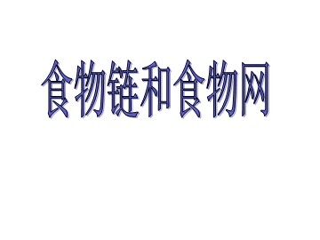 《食物链和食物网》课件5