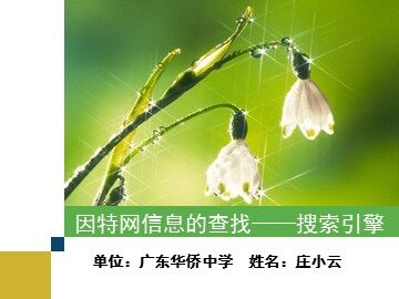 因特网信息的查找——搜索引擎