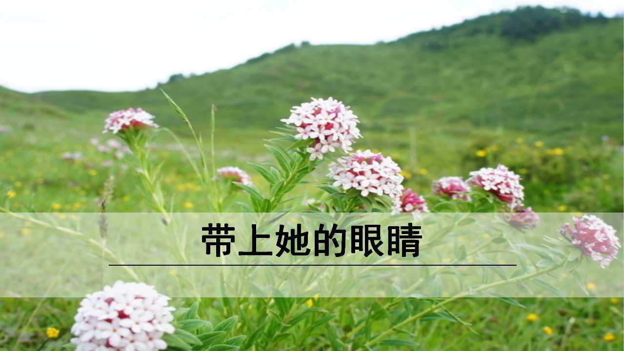 带上她的眼睛