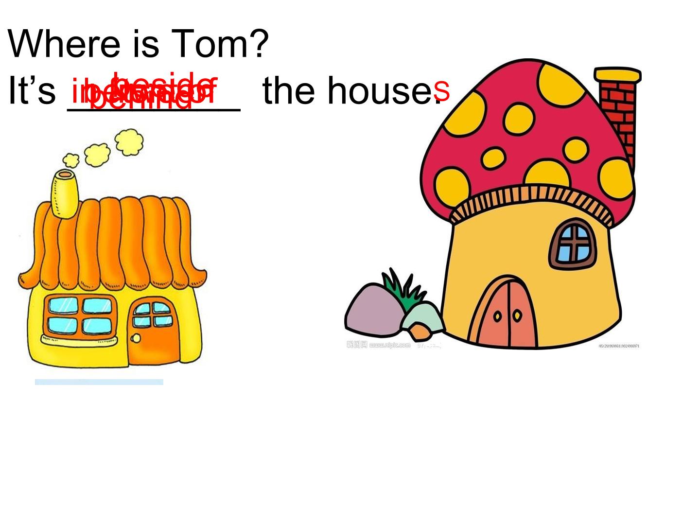 16.jpg