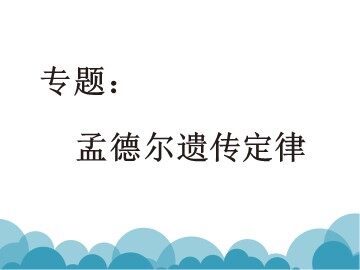 第2节  孟德尔的豌豆杂交实验（二）