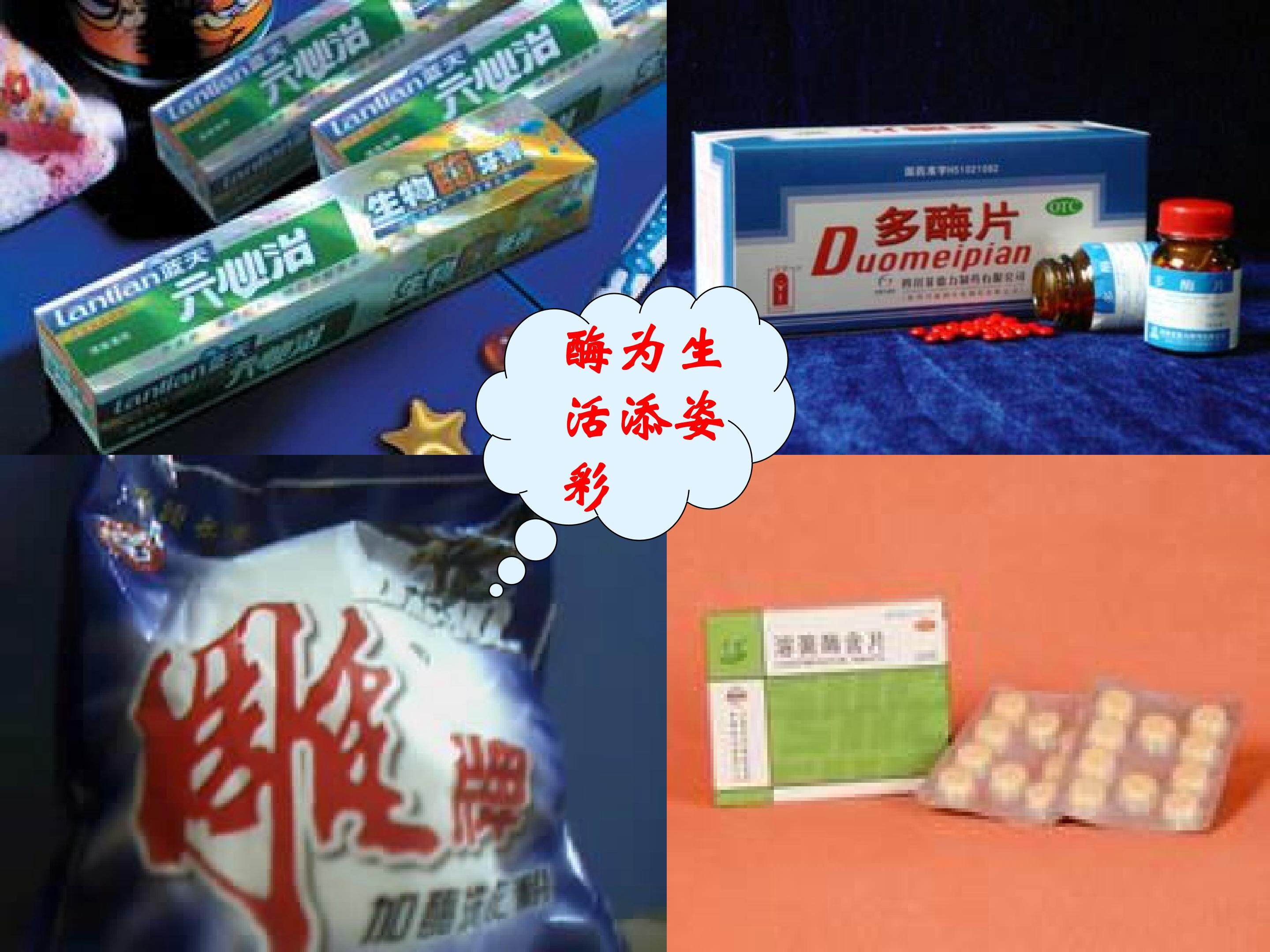 降低化学反应活化能的酶