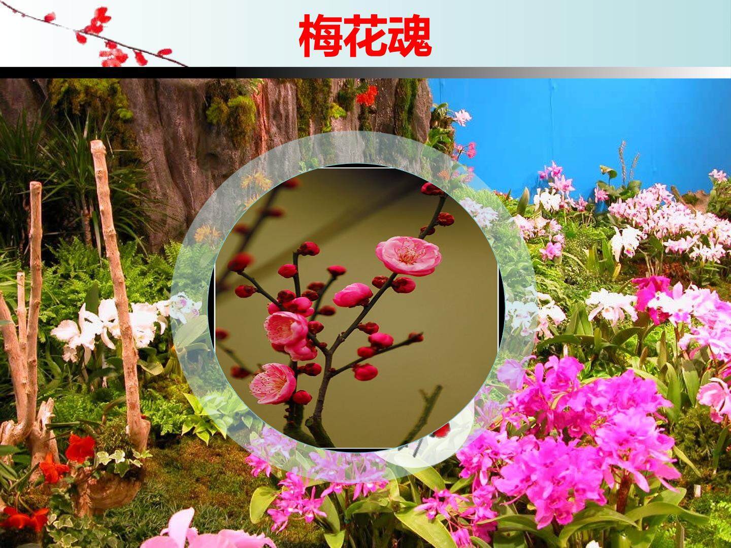梅花魂