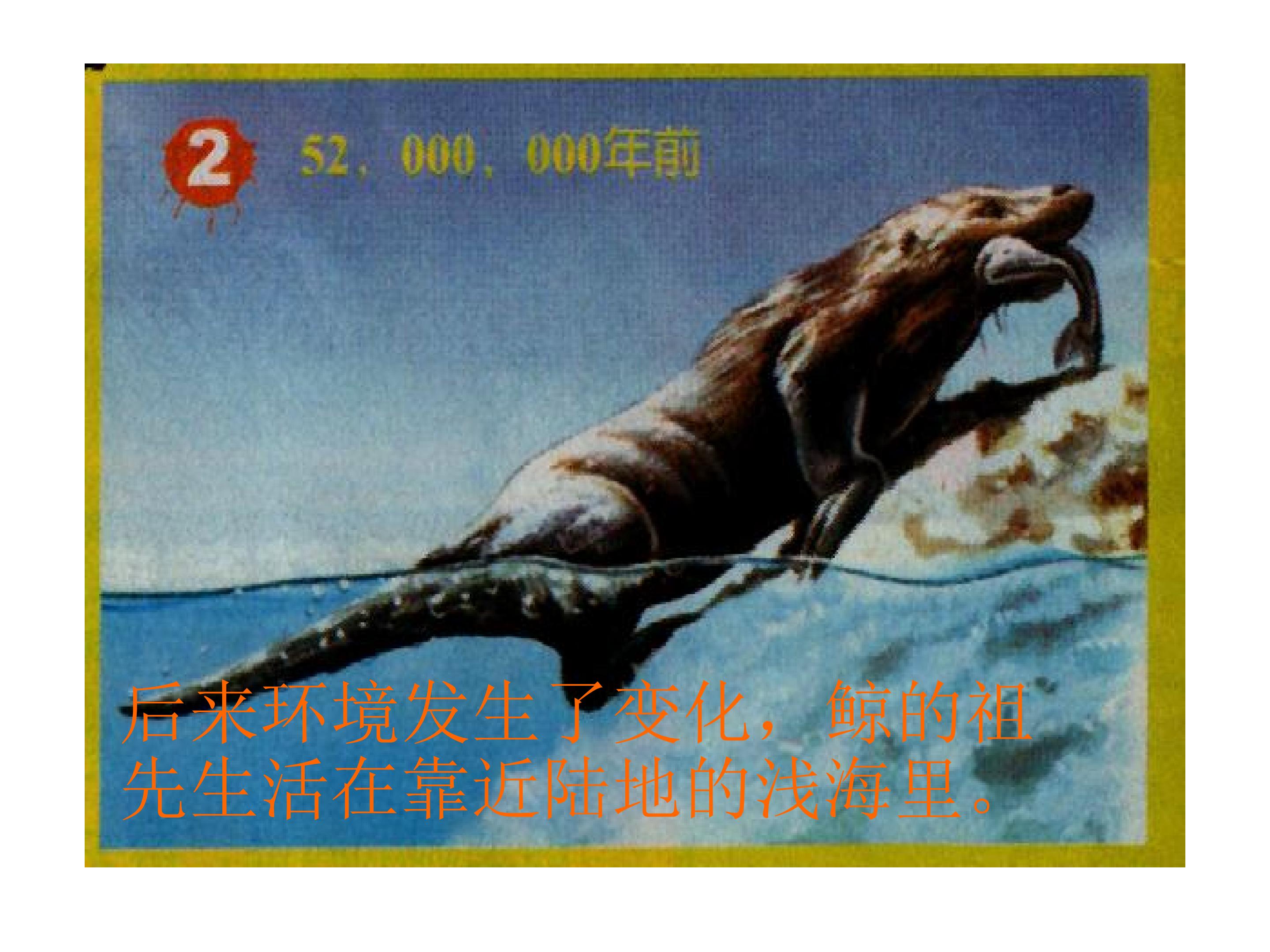 17.jpg