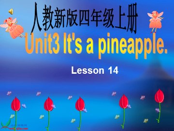 Unit 3 It's a pineapple.